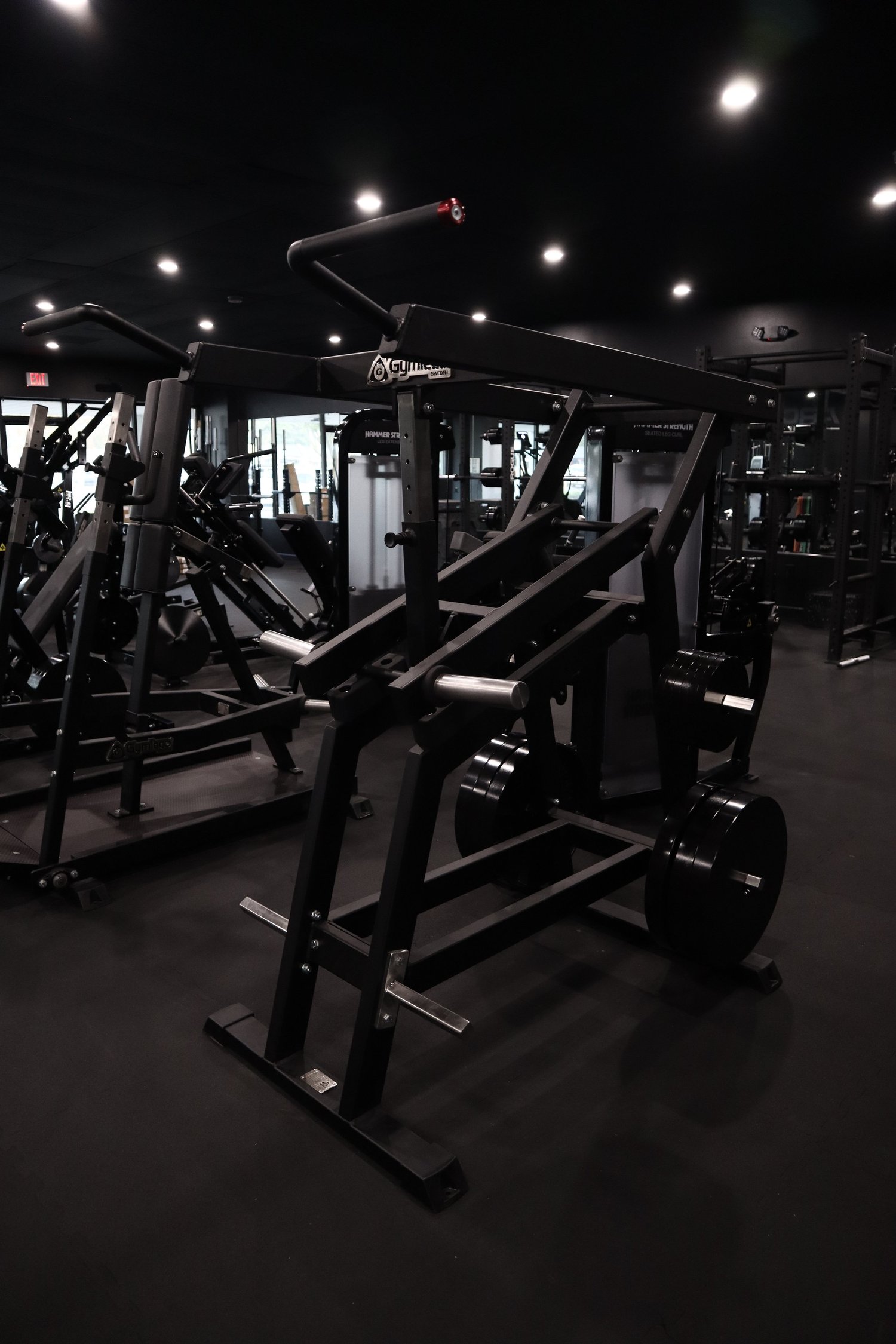 Dumbbell rack and cable machine at ARCH Training Freehold